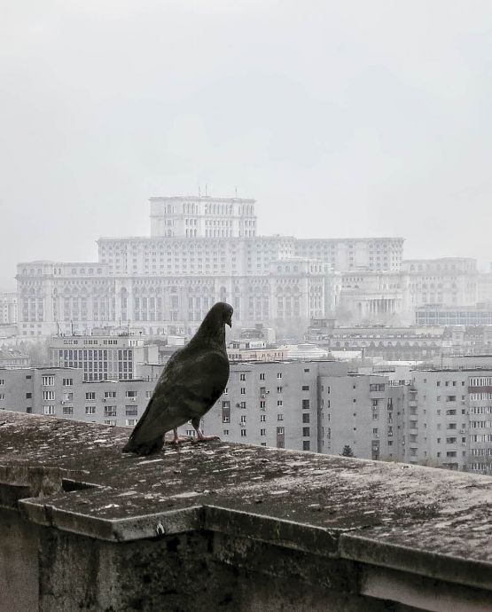 București Distopian, vedere peste blocuri dinspre Gara de Nord spre Casa Poporului