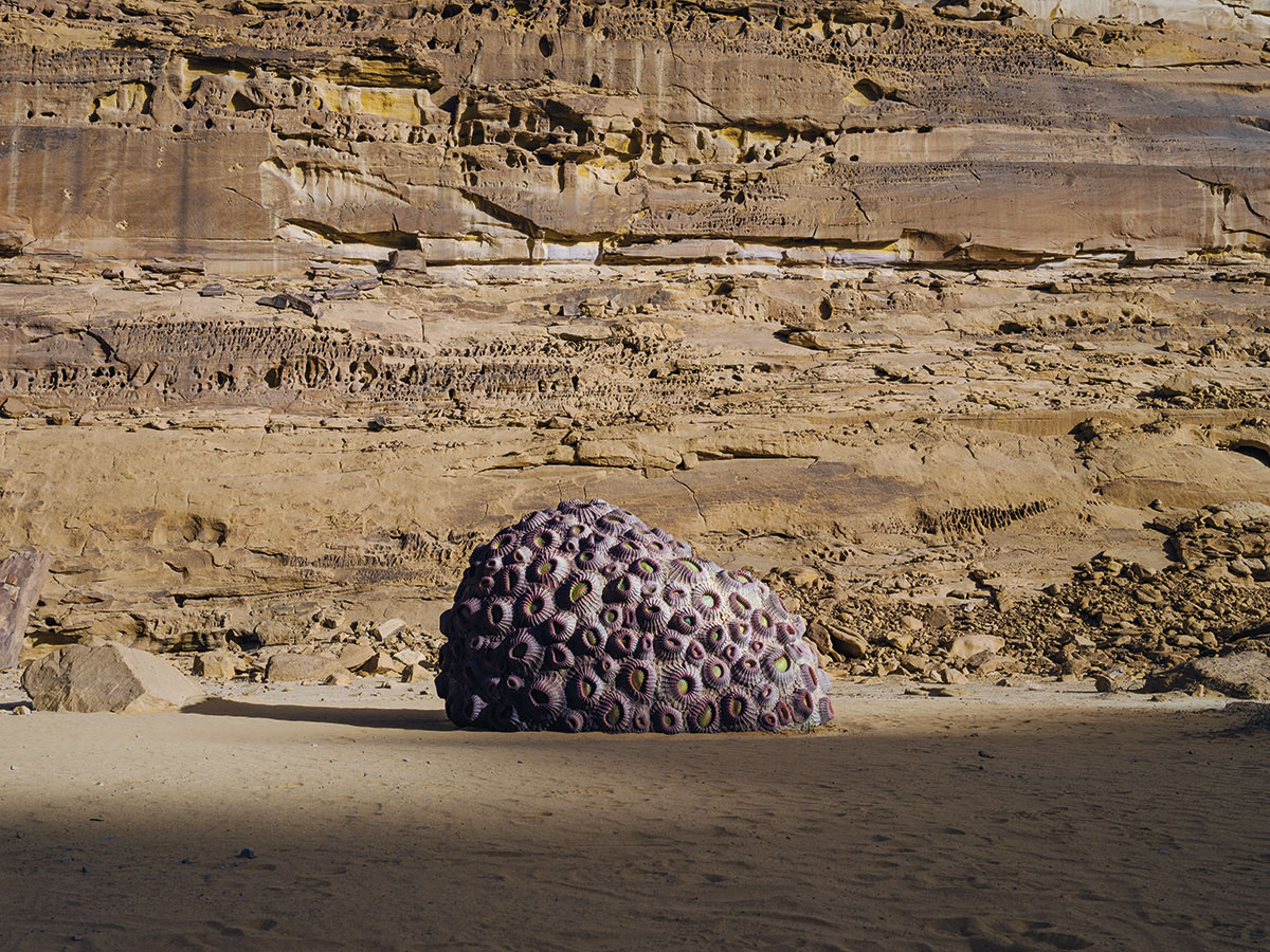 Shezad Dawood Desert X AlUla 2022 Coral Alchemy I (Dipsastrea Speciosa). Foto: Lance Gerber