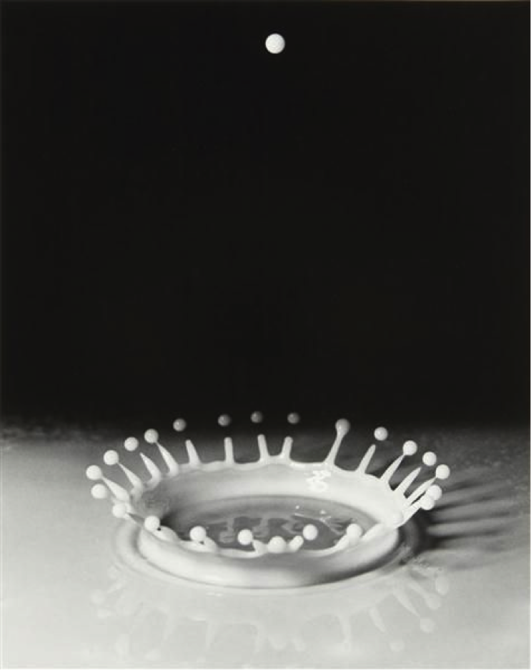„Milk Drop Coronet”, Harold Eugene Edgerton, 1957 (sursa www.time.com)