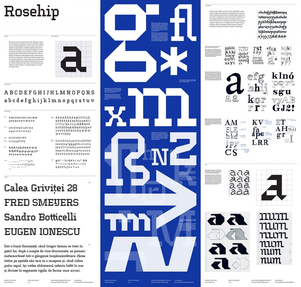 Andrei Măceșanu -Tip de literă decorativ „Rosehip”- Proiect de masterat, 2019, coord. Dinu Dumbrăvician, Radu Manelici