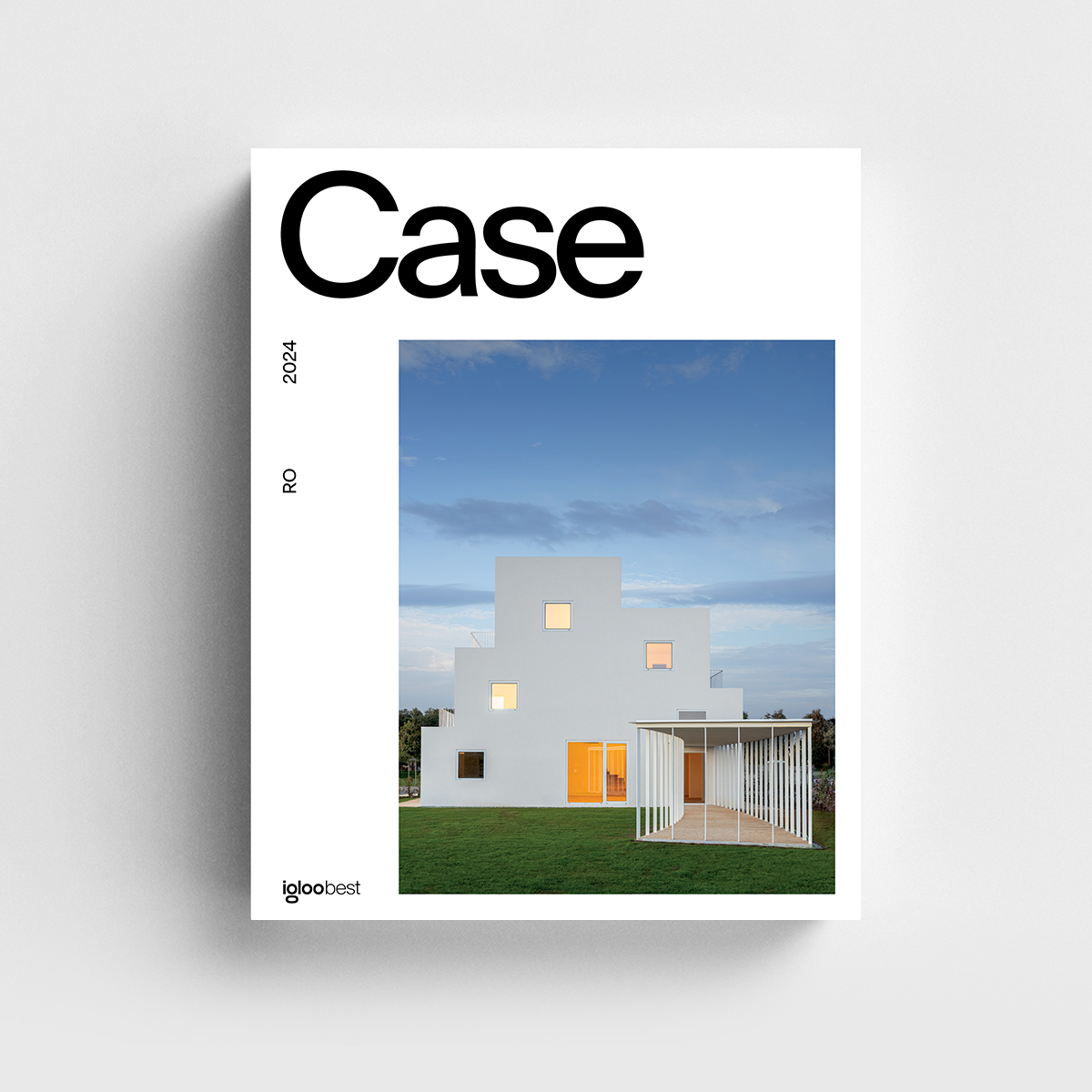 Case din România 2024 – 14 modele ideale de locuire – igloo