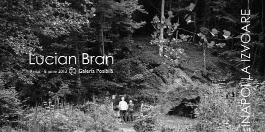 Înapoi la izvoare - Lucian Bran
