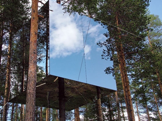 Tree Hotel