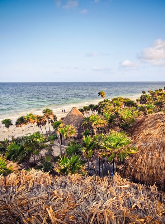 Papaya Playa. Mexic