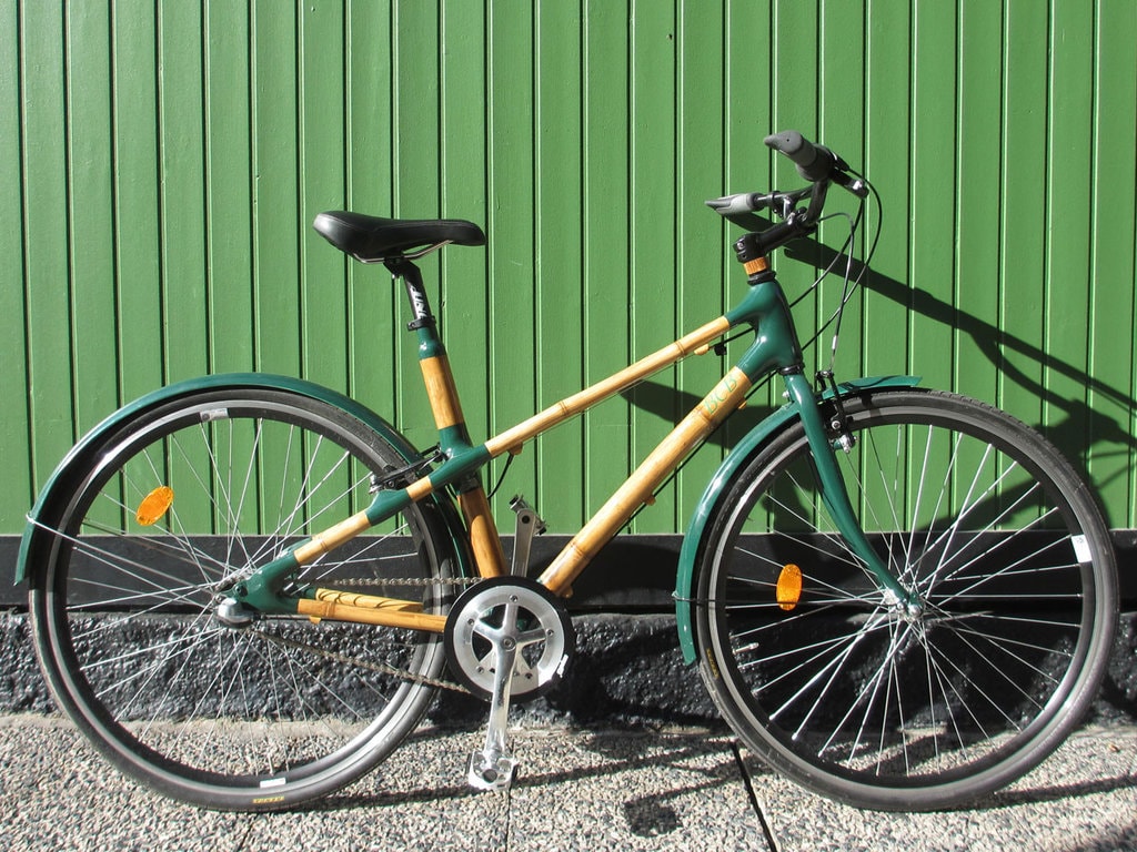 Cu bicicleta prin oraş / Cadrul din bambus