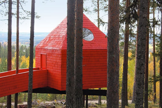 Tree Hotel