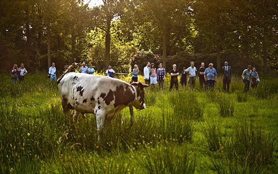 New Farms for EXPO - proiect de resuscitare a fermelor la Expo Milano 2015