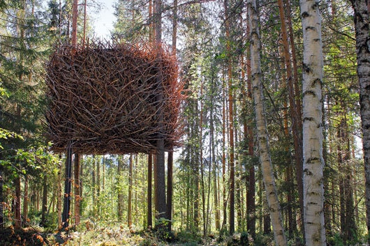 Tree Hotel