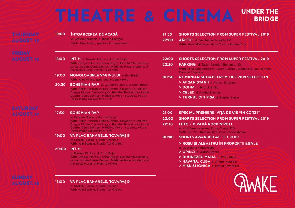 program-cinema_theatre-01